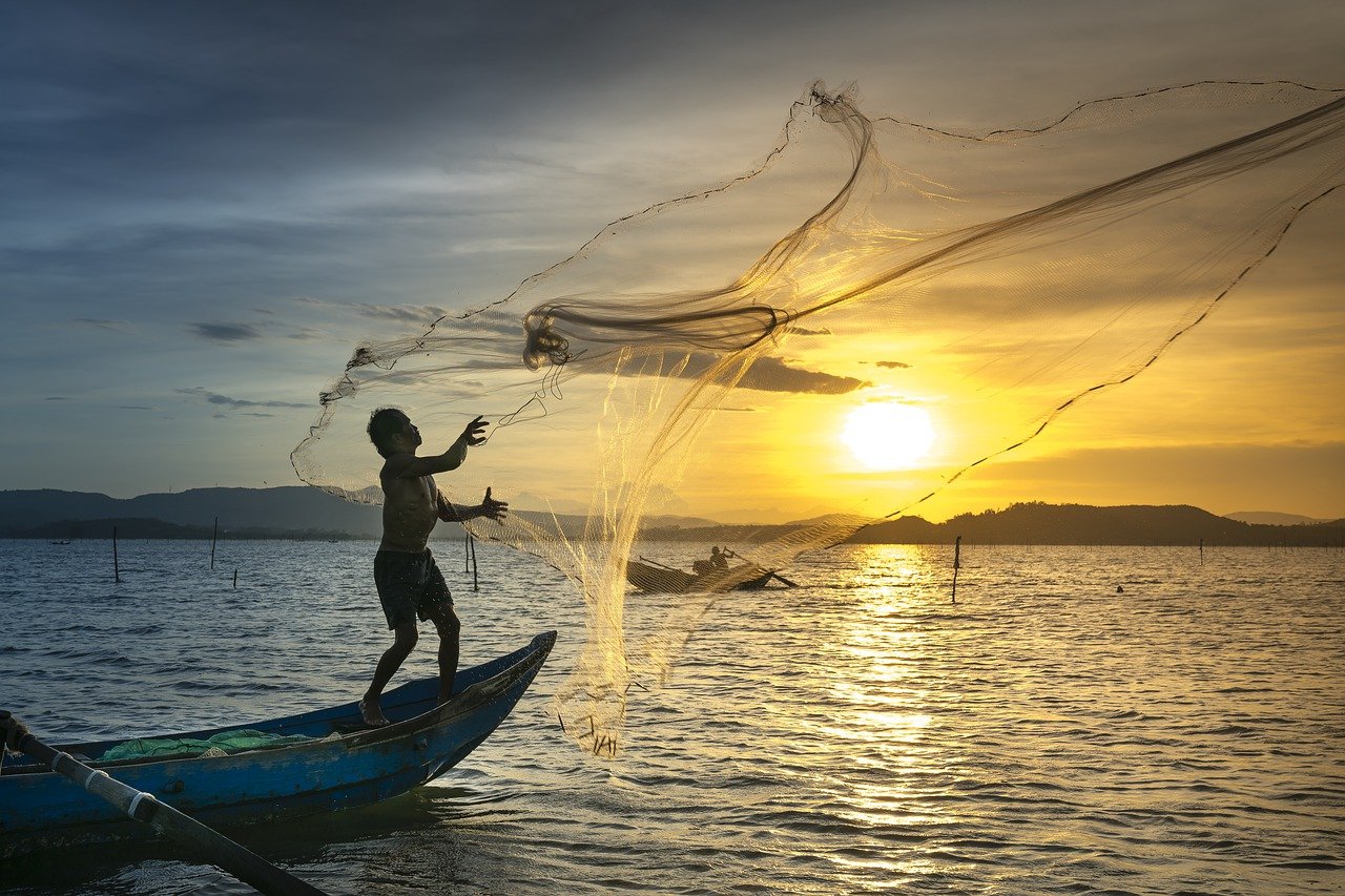 fish, fishermen, fishing net-3062034.jpg